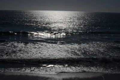 DSC_6941 (Large).JPG